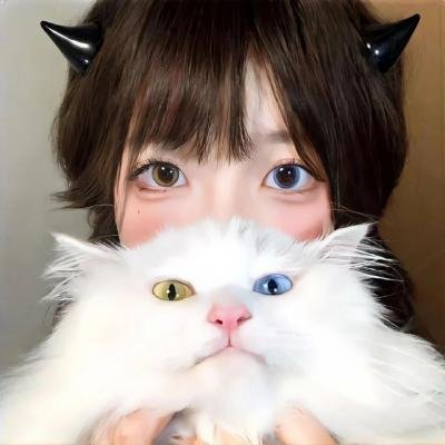 新唐老鸭俱乐部第一季